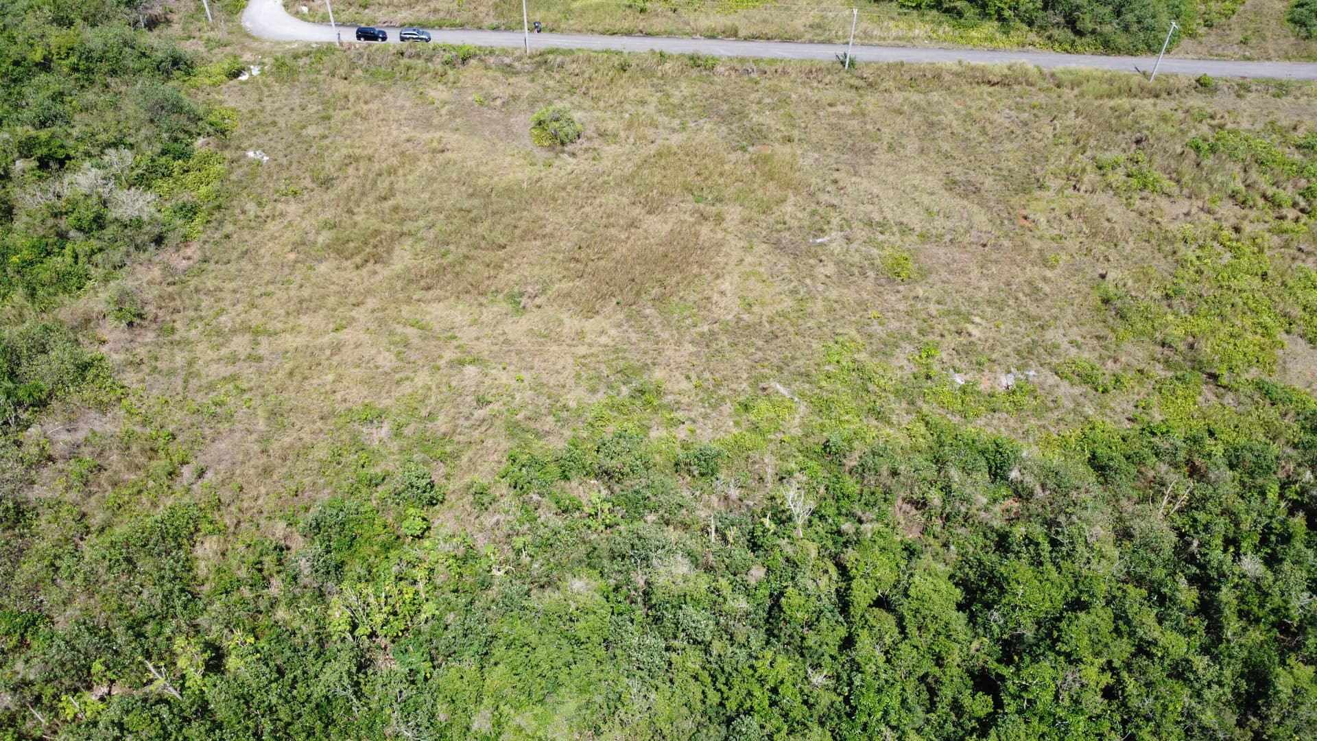 DJI_0400