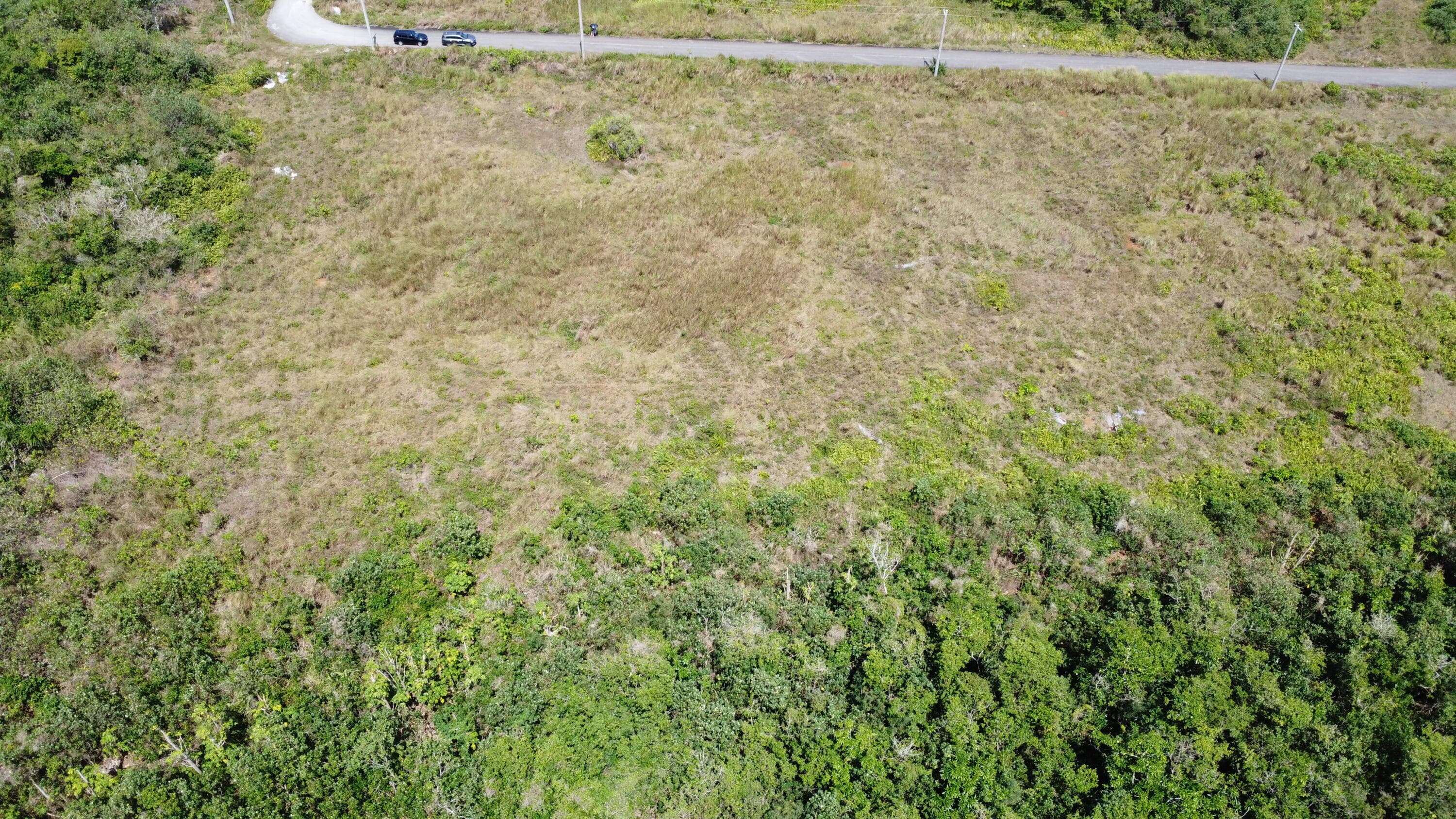 DJI_0400