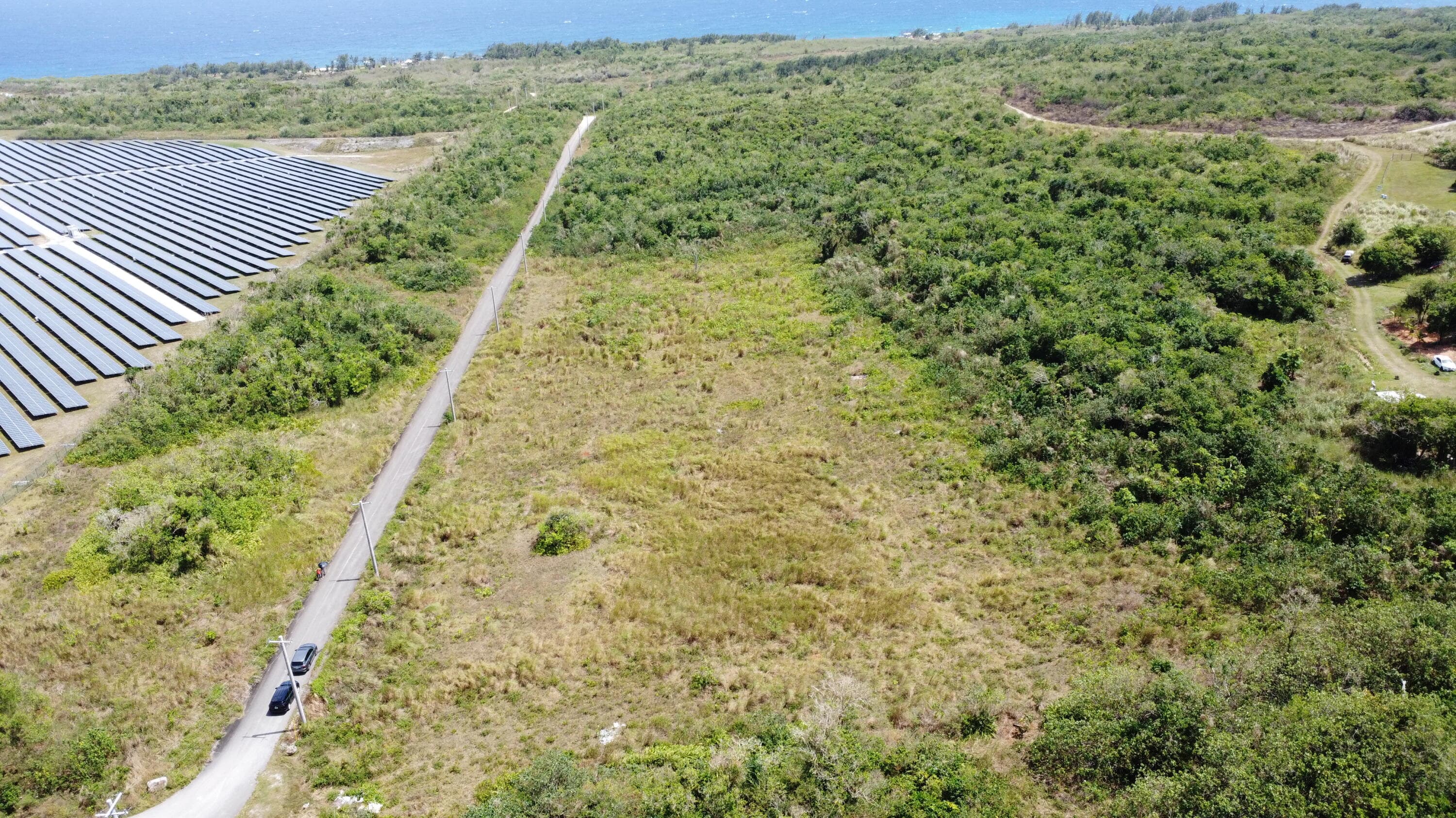 DJI_0420