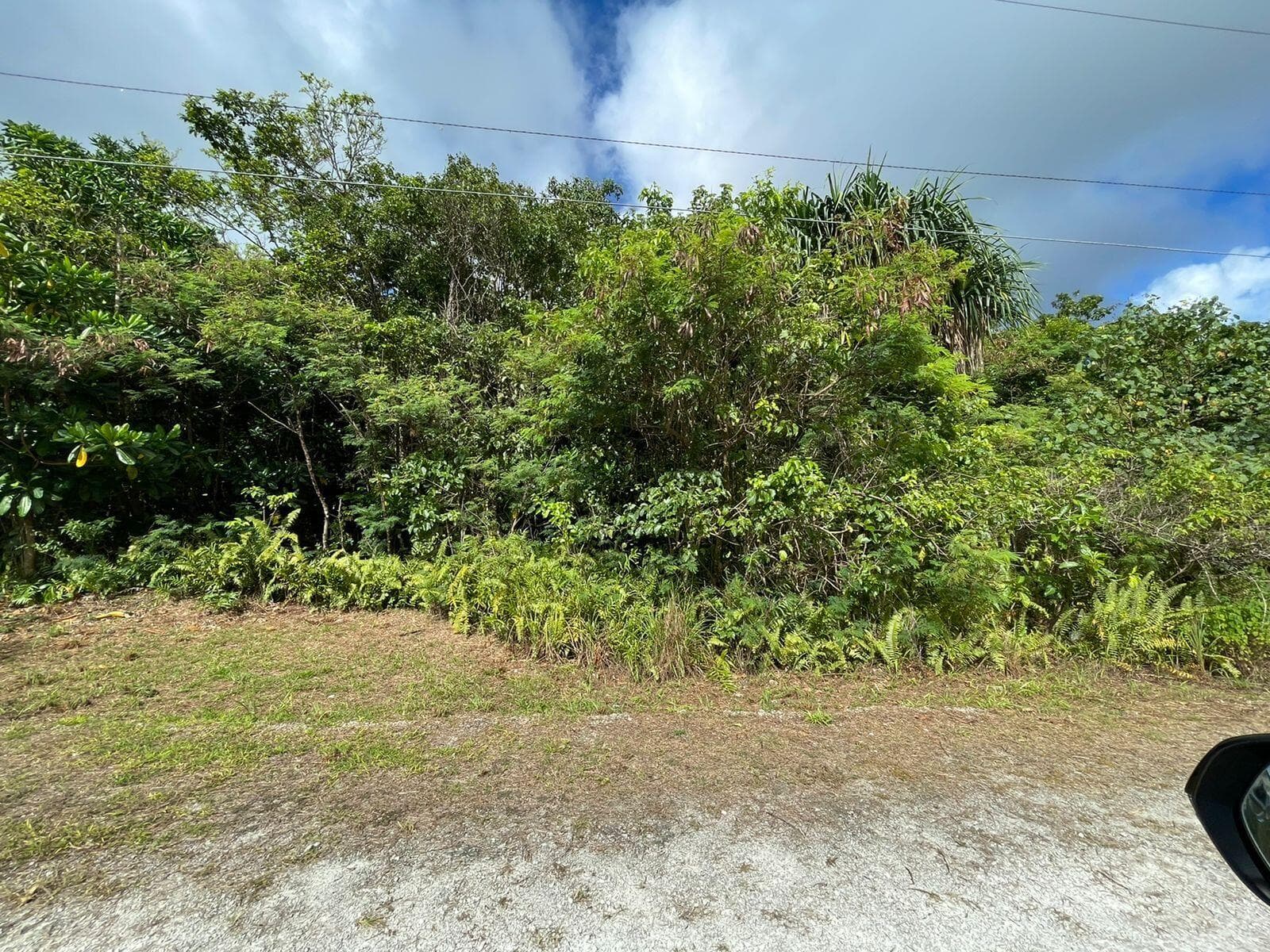 Land 2
