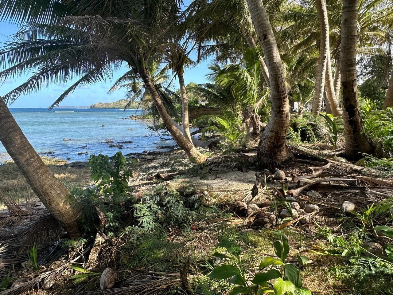 Beachfront paradise