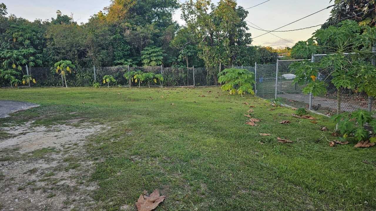 Yard