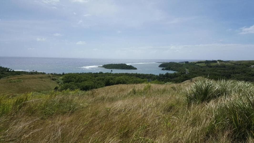 Image 0 of this listing